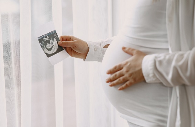 Сумма пособия по беременности превысит 1 млн рублей к 2027 году