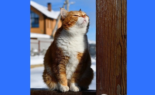 15 мартта Татарстанда көчле җил саклана