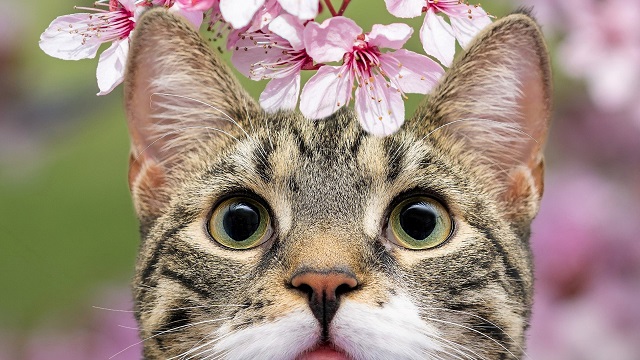 Профессор КФУ Юрий Переведенцев озвучил прогноз погоды на майские праздники