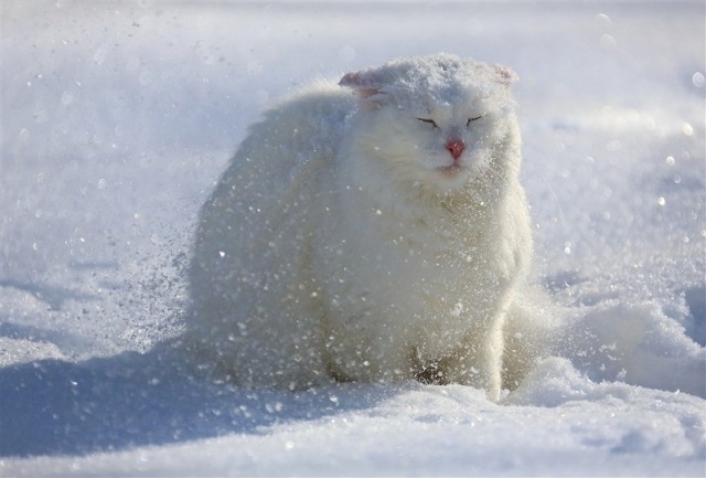 «Контрастный декабрь»: доцент КФУ Тимур Аухадеев объяснил переменчивость погоды в РТ