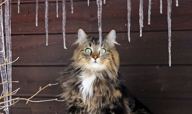 Профессор КФУ Юрий Переведенцев предупредил о резких перепадах температур