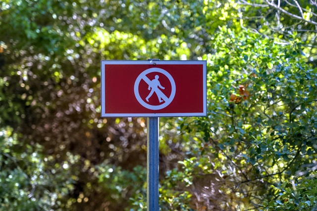 Из-за экстремальной жары в Татарстане на три недели ограничили посещение лесов