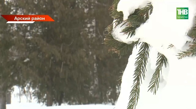 Урожай-2026: почему аграрии Татарстана надеются на раннюю весну вопреки прогнозам