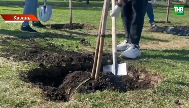 В Казани высадили 80 деревьев в честь 80-летия Победы