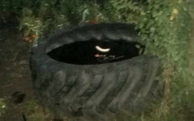 В Татарстане полуторагодовалый ребенок утонул в самодельной емкости для полива