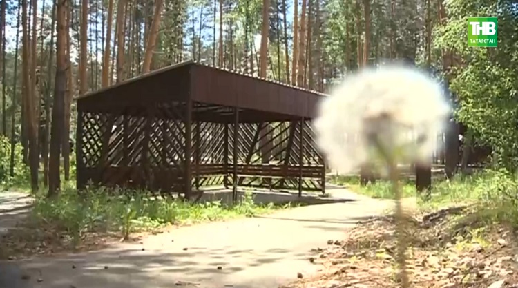 Җәйгә әзерлек: быел балалар кайда ял итәчәк?