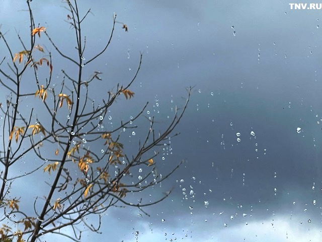 Заморозки и осадки: неутешительный прогноз на завершение сентября в Татарстане