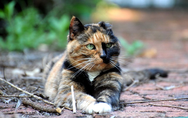 В начале выходных жара в Татарстане ослабит силу