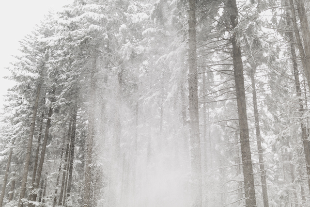 Экстренное сообщение: сильная метель надвигается на Татарстан