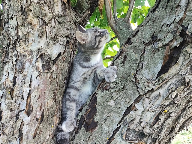 2 августта Татарстанда кыска вакытка яңгырлар көтелә