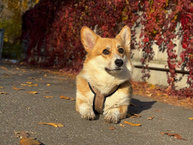 Яллар башында Татарстанга җылы кайта