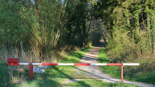 С 22 мая в Татарстане ввели очередное ограничение на посещение лесов