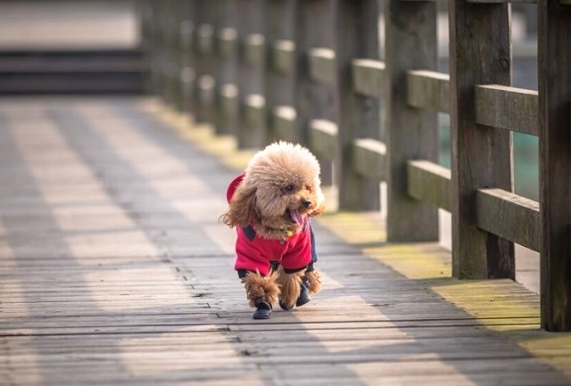 Погода выходных в Татарстане: от январского «минуса» до апрельского «плюса»