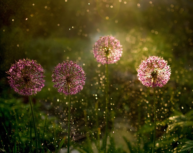 А лето вернется? Чего ждать от июля в Татарстане, ответили в Гидрометцентре