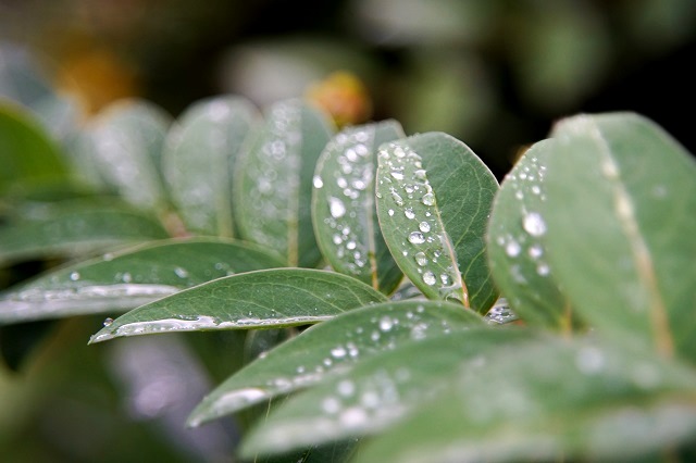 Заморозки приближаются: Гидрометцентр анонсировал резкое похолодание в Татарстане