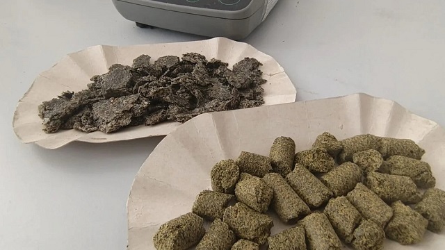 Более 5 тысяч тонн подсолнечного шрота из Татарстана экспортировали в Азербайджан и Туркменистан