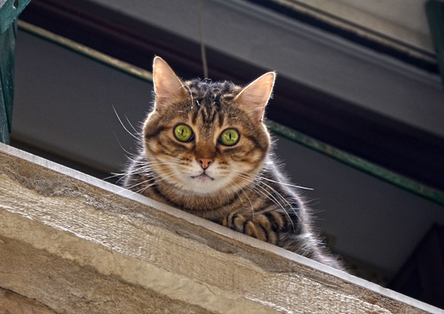 В преддверии 28-градусной жары в Татарстане похолодает до +5 градусов