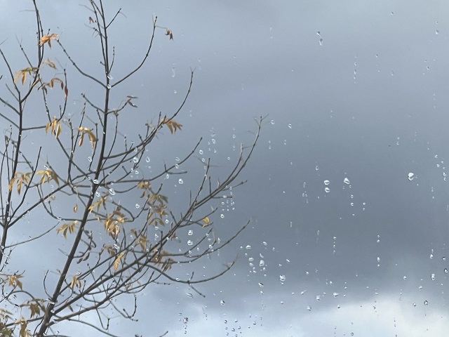 Иртәгә Татарстанда кырау төшәчәк