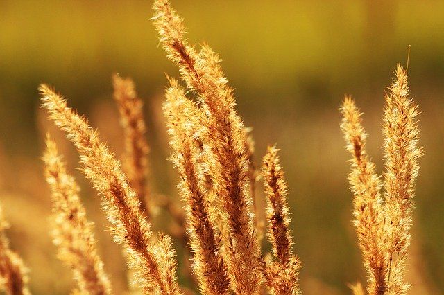 В последнюю неделю лета Татарстан ожидает повышение температуры до 27 градусов тепла