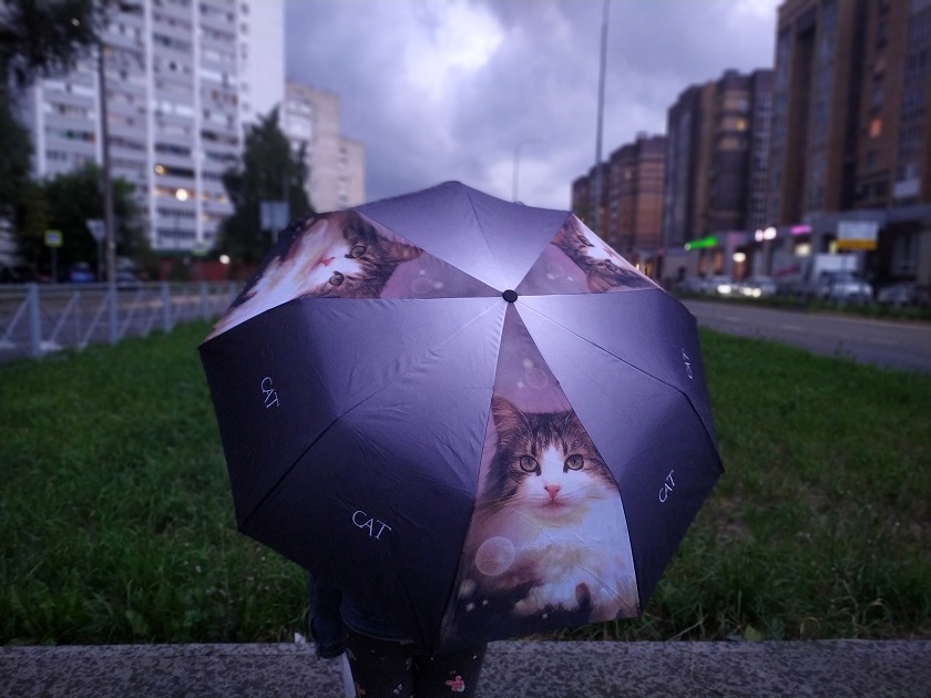 Татарстанлыларны яңгырлар һәм яшен турында кисәтәләр