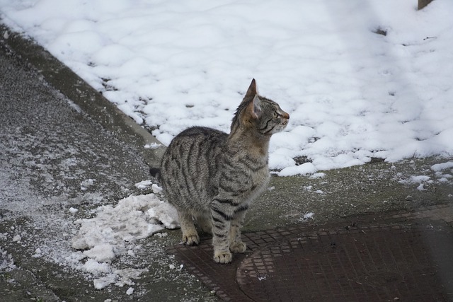 Снегопады и туманы накроют Татарстан 31 марта