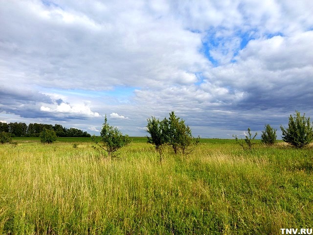 Осеннее лето: прогноз на начало июля в Татарстане раскрыли в Гидрометцентре
