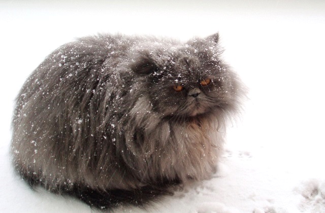 Кар, томан һәм -20 градуска кадәр суыту - киләсе тәүлеккә һава торышы билгеле