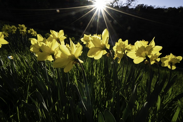 Жара +25 градусов нагрянет в Татарстан в ближайшие дни