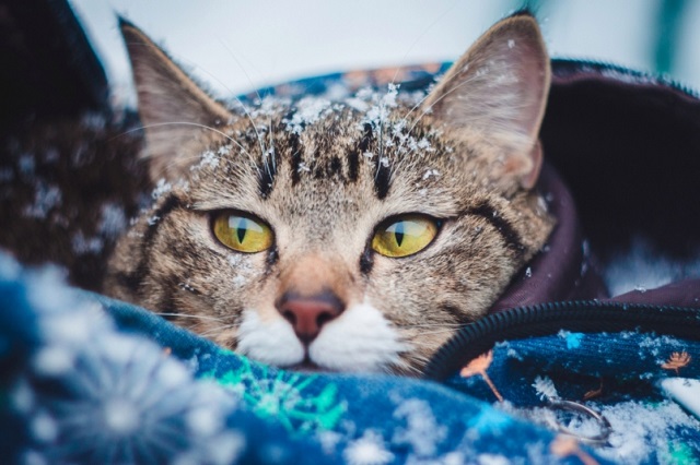 Жителям Татарстана напомнили о мерах безопасности при ледяном дожде