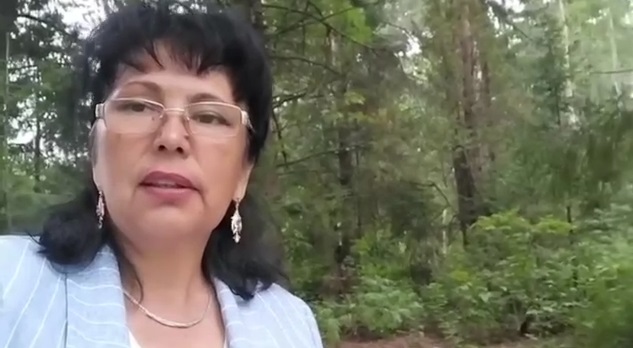 Луиза Шәмсетдинова мәктәп программасындагы «Туган тел» дәресен бетерүгә үз фикерен белдерде