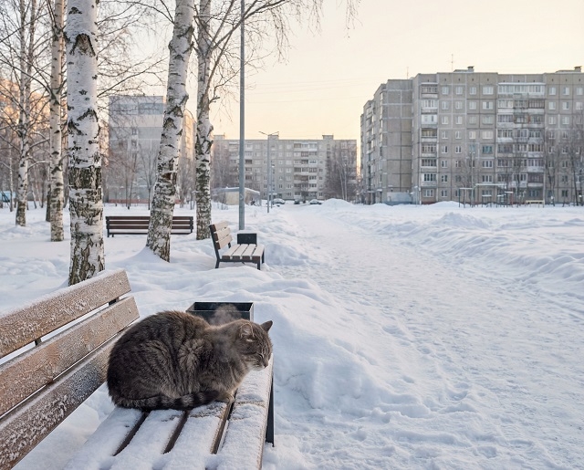 Ледяной ветер и 18-градусный мороз ждут Татарстан в преддверии потепления
