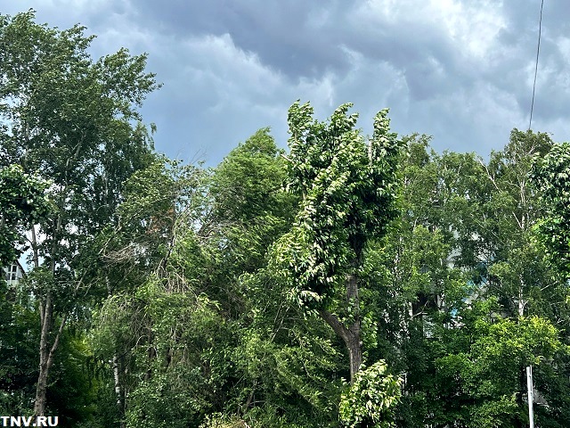 Весь спектр летней непогоды обрушится на Татарстан в ближайшие сутки