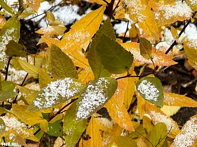 Усиление ветра и холод до -4 градусов ожидаются в Татарстане 7 ноября