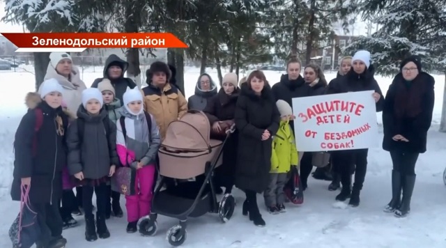 Стерилизация не гарантия: жители Васильево требуют изменить закон о животных после трагедии