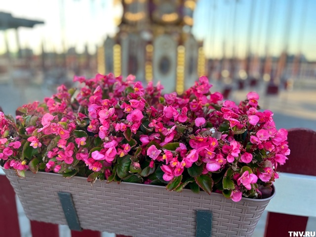 31-градусное пекло ждет татарстанцев в завершение рабочей недели