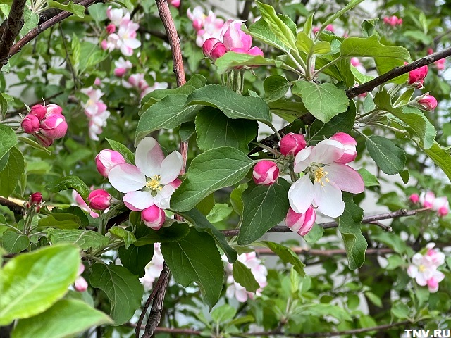 Стал известен прогноз на Первомайские выходные в Татарстане