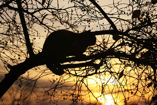 Мороз и солнце: 26 января в Татарстане похолодает до -24 градусов