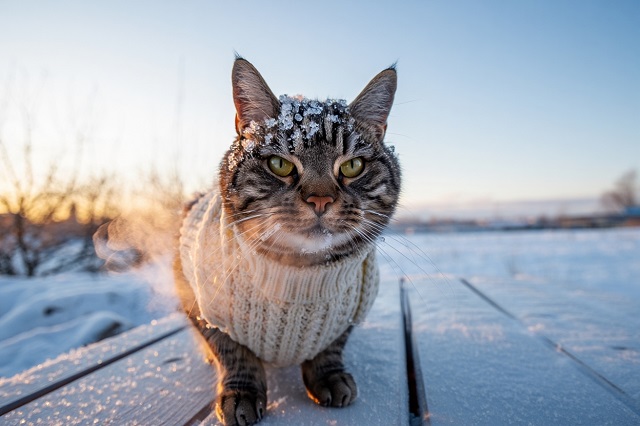 Сейчас мороз до -15, а в конце недели — «плюс» и шторм: что ждет Татарстан