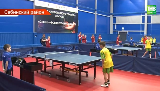В Татарстане за день открыли пять центров настольного тенниса