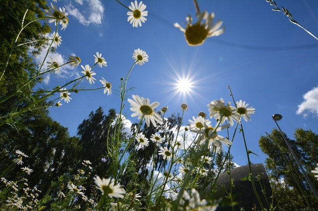 В РТ сотрудник Минлесхоза построил в лесу баню с озером, выдав их за пасеку