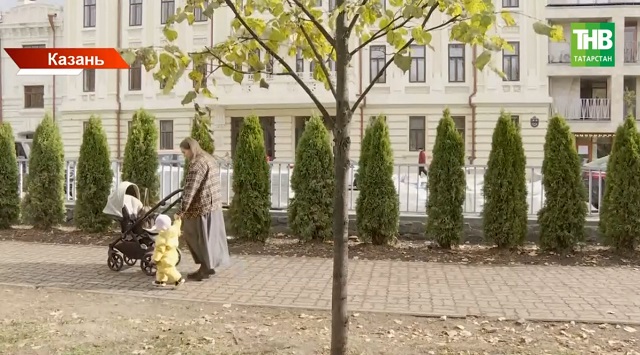 Скандал в старейшем парке Казани: многолетние липы в Лядском саду заменили на туи