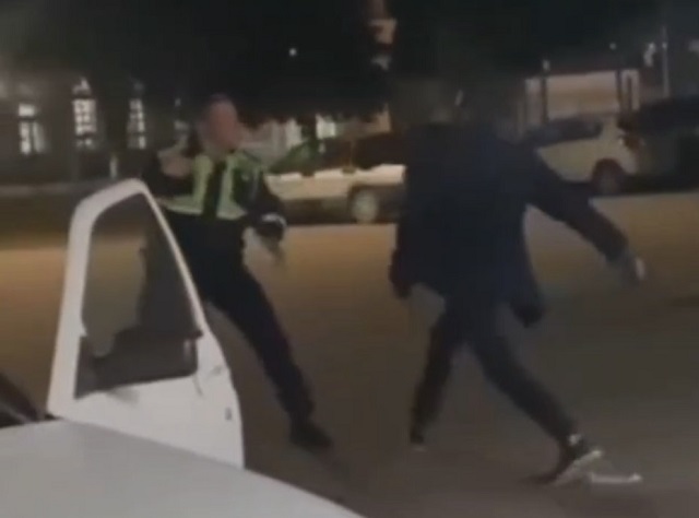 Двое инспекторов ДПС устроили драку с автомобилистом – видео