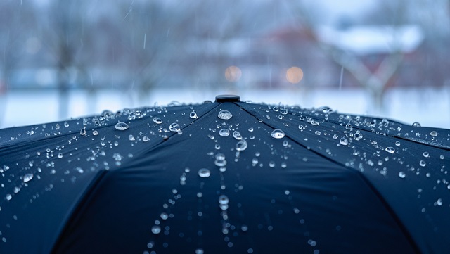 Зимний коктейль: вместо снегопада Москву ждёт «дождь в снежной шубе»