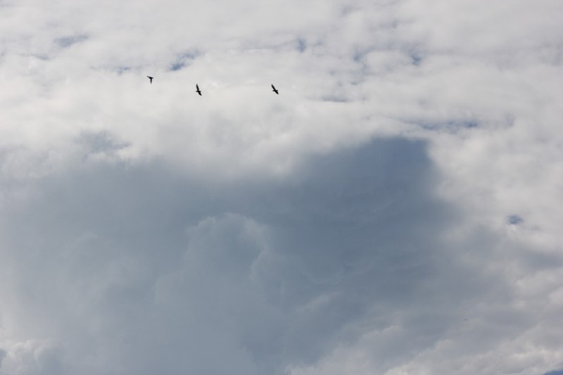 Иртәгә Татарстанда нинди һава торышы көтелә?