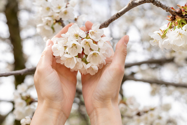 «Кувырок в сторону лета»: резкое потепление ожидается в центре России в мае