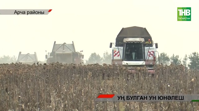 Татарстанның авыл хуҗалыгы 10 елда ничек үзгәрде? | Адымнар
