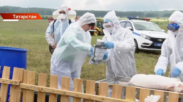 Татарстанның тагын бер авылында котыру ачыклану сәбәпле карантин игълан ителде