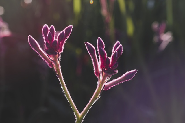 Как обезопасить себя от пыльцевого удара, рассказали татарстанцам  
