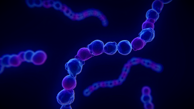 Опаснее, чем кажется: татарстанцам рассказали о бактерии, поражающей сердце и суставы 