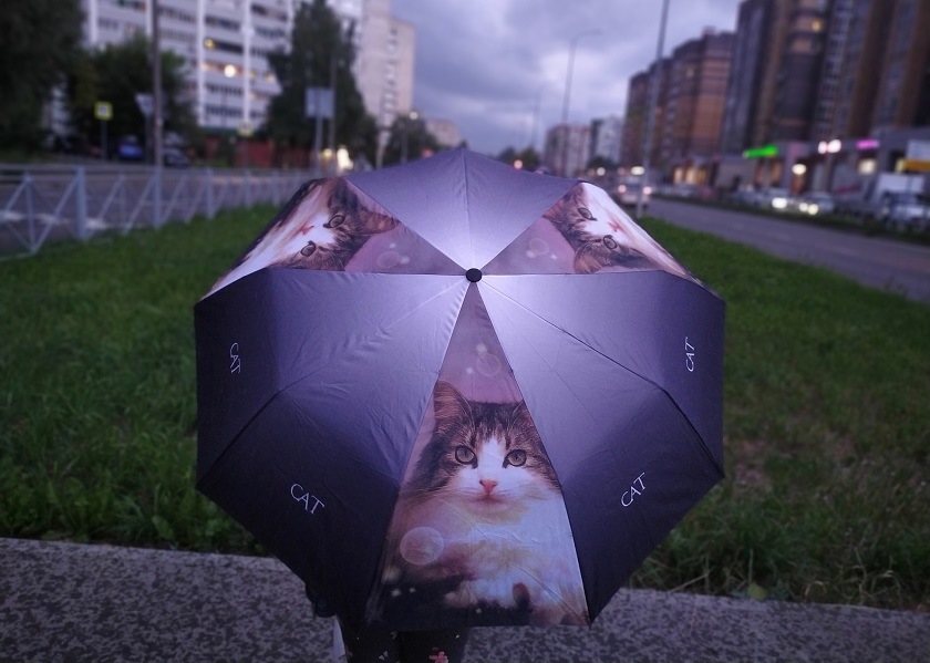 Татарстанцев предупредили о надвигающихся грозах